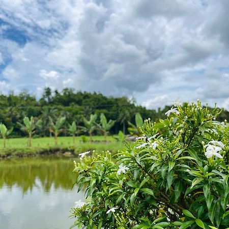 Jazz Ferme Inn Batuan Bohol Esterno foto