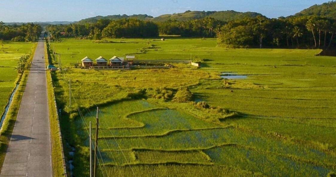 Jazz Ferme Inn Batuan Bohol Esterno foto