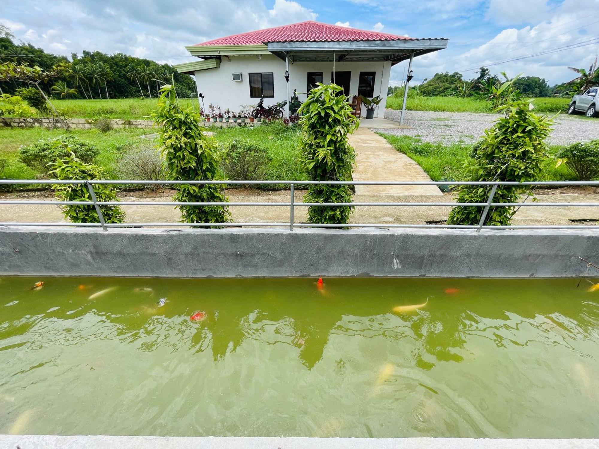 Jazz Ferme Inn Batuan Bohol Esterno foto